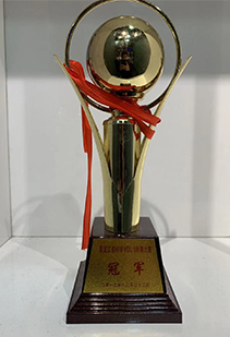 黑龙江省WIBVOL5街舞大赛冠军