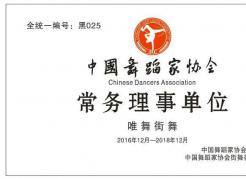 中国舞蹈家协会常务理事单位